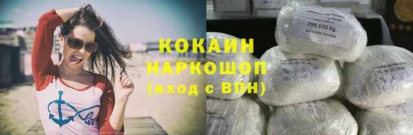 тгк Елизово
