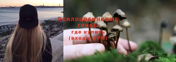 стаф Заводоуковск