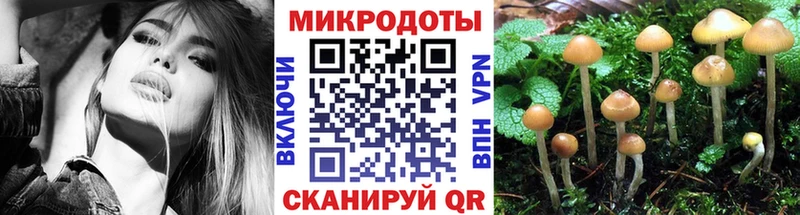 купить закладку  Сковородино  Галлюциногенные грибы Psilocybe 